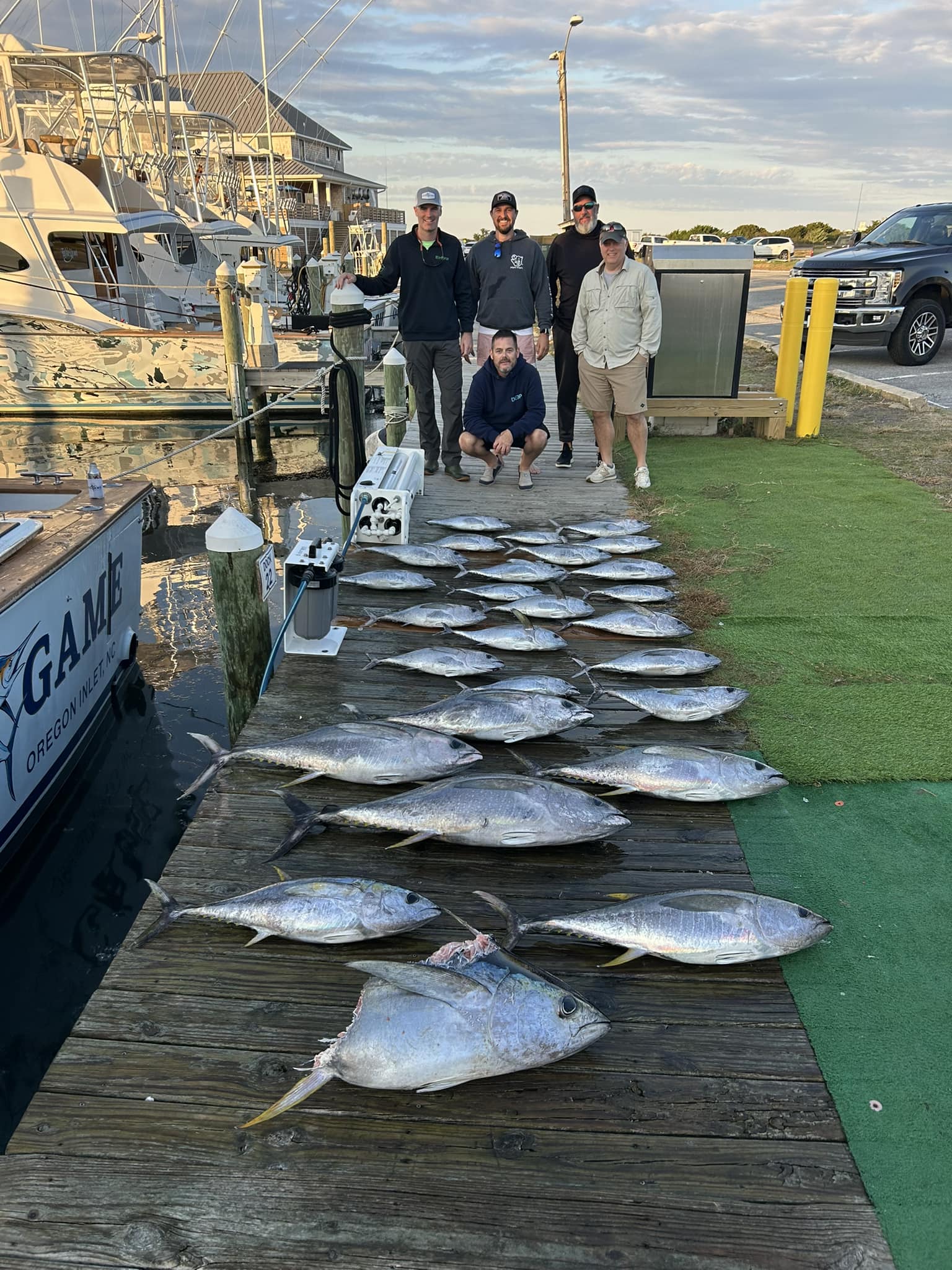A group of 5 big blackfin and yellowfin tuna caught while fishing in NC
