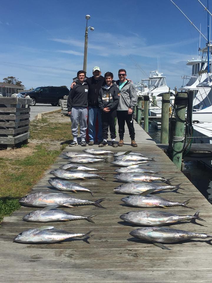 8 bluefish caught while fishing in NC