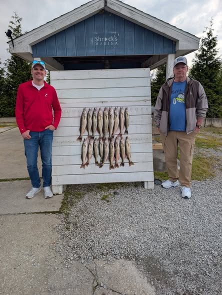 Fishing catch display showing multiple fish hung on cleaning station in Port Clinton OH