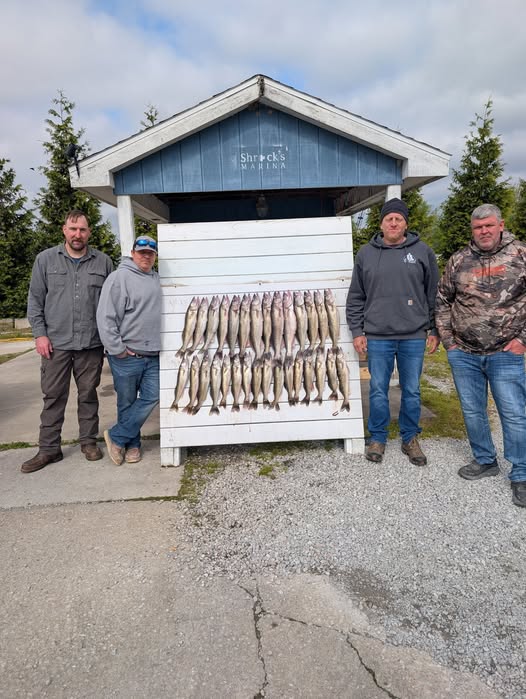 Fishing charter display board showing multiple caught fish in Port Clinton OH