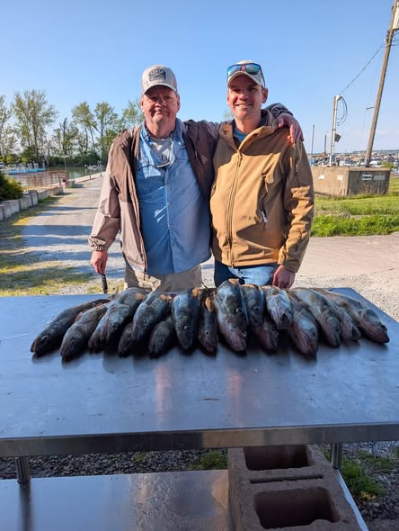 Successful fishing trip in Port Clinton OH with large catch of fish displayed on cleaning table