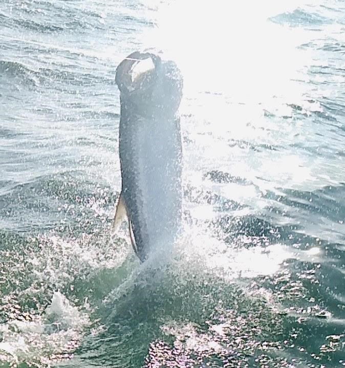 A person fishing at Apollo Beach