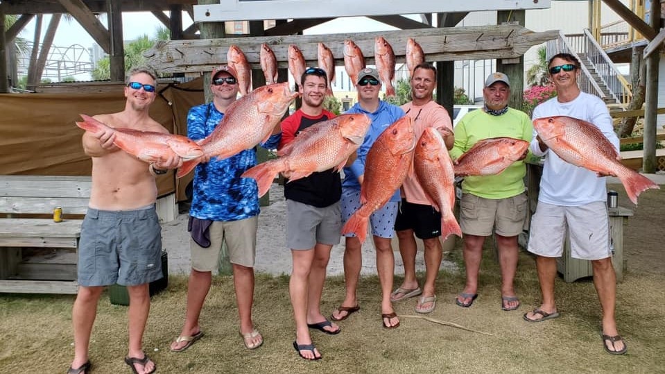 4 big fish caught at Orange Beach