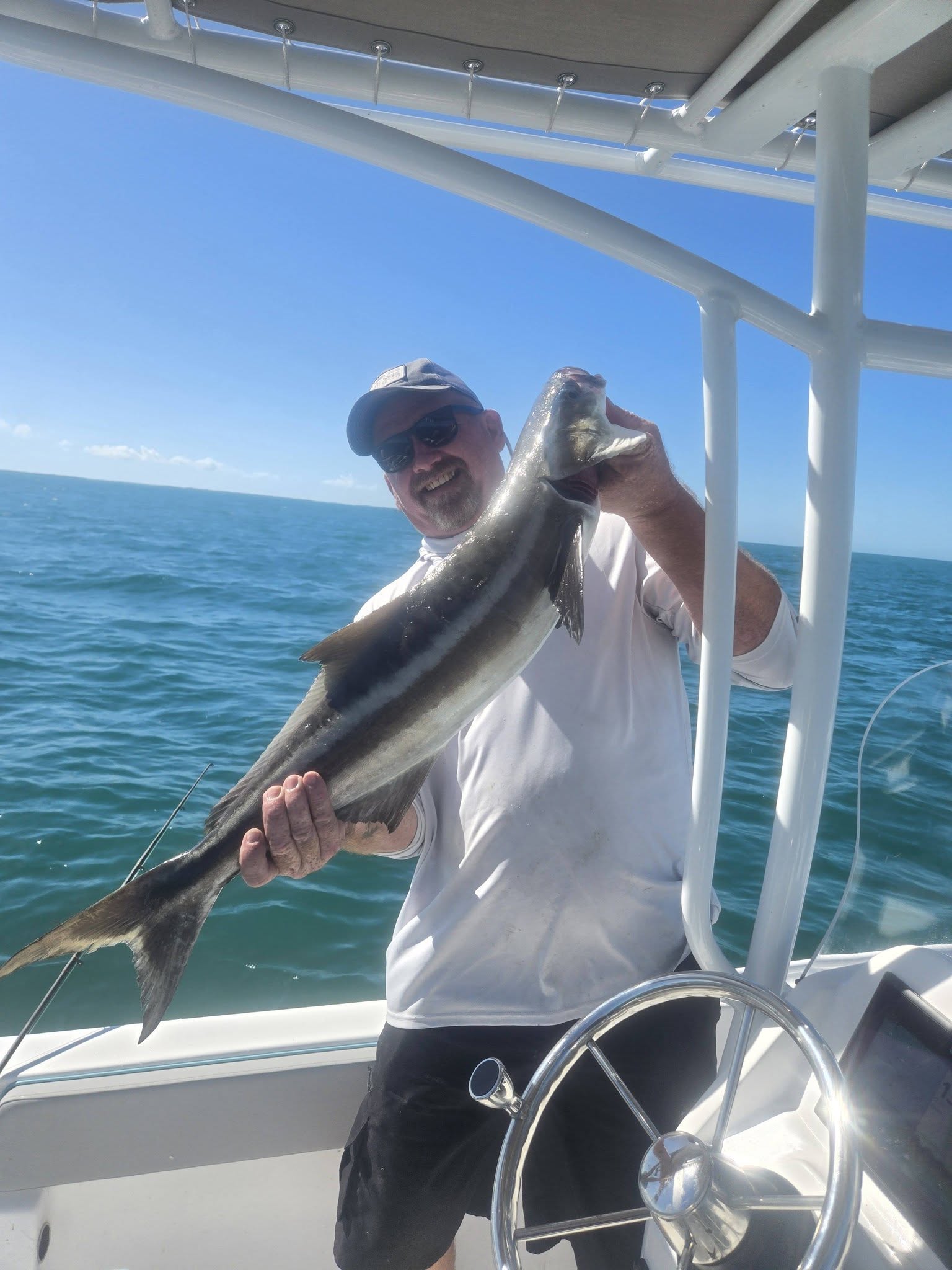 Cobia caught while fishing off Belmar NJ