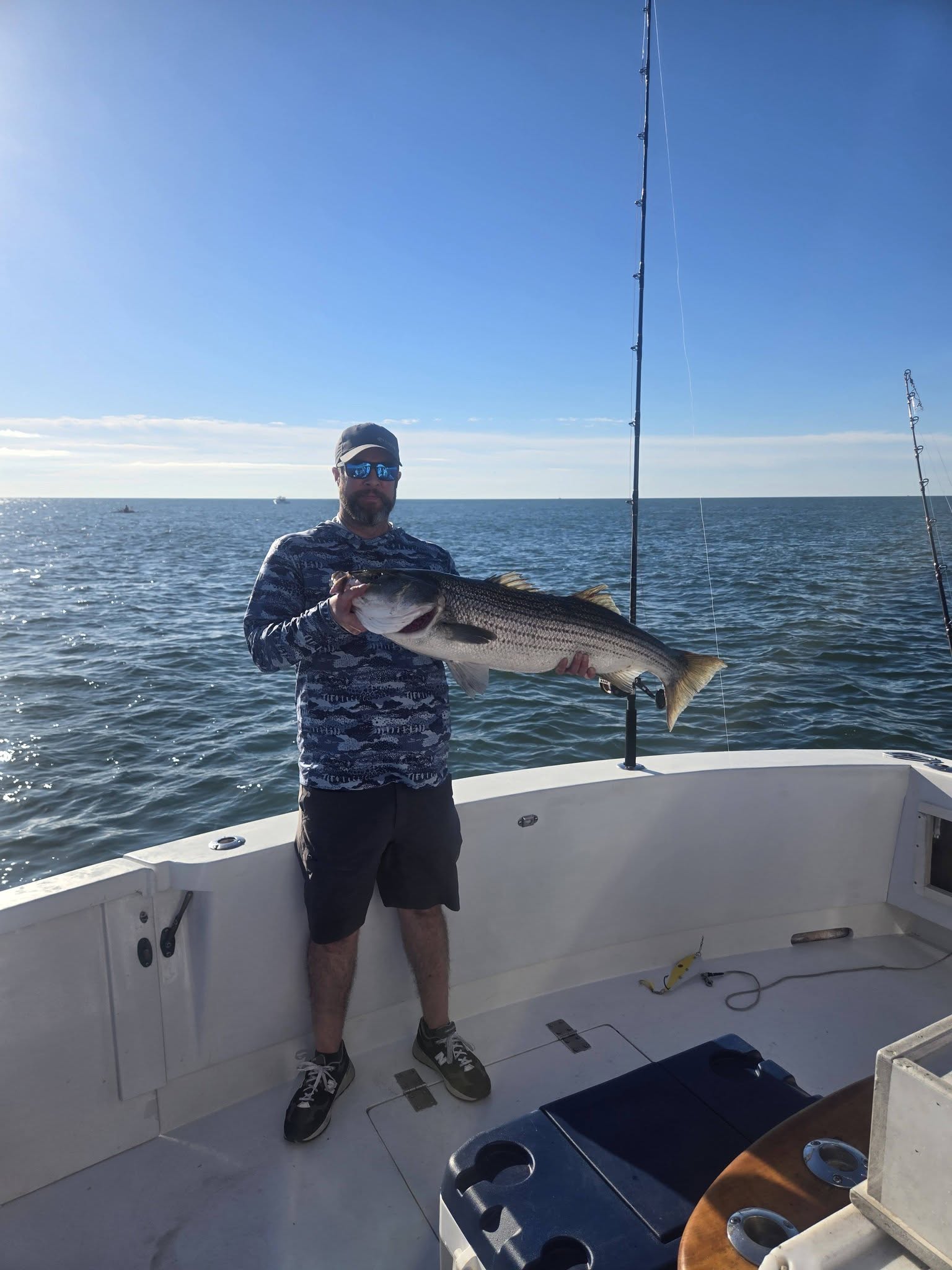 Striped bass catch displayed on fishing boat in Belmar NJ waters