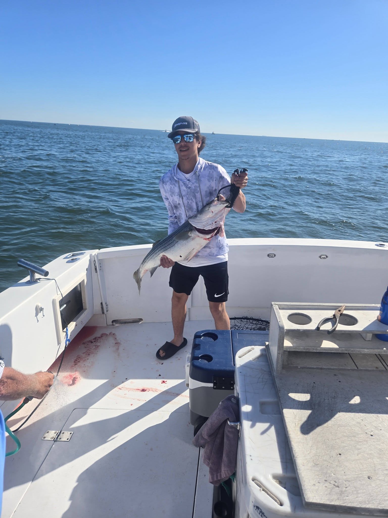 Striped bass catch displayed on fishing boat deck in Belmar NJ waters
