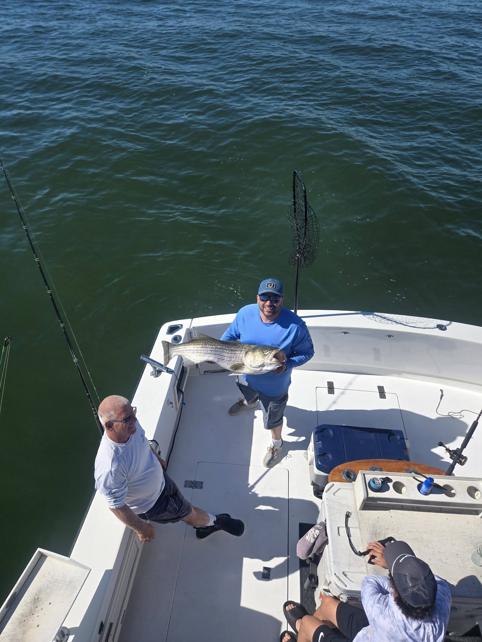 Striped bass fishing success on charter boat in Belmar NJ waters