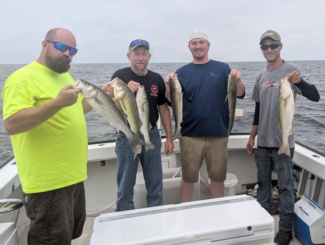 Four anglers displaying freshly caught striped bass on fishing boat in Grasonville MD waters