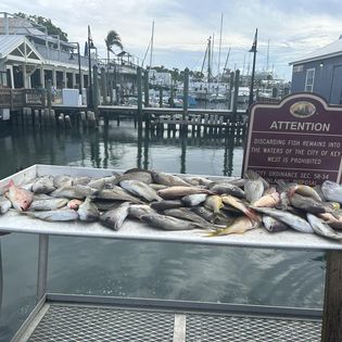 Key West fishing adventure