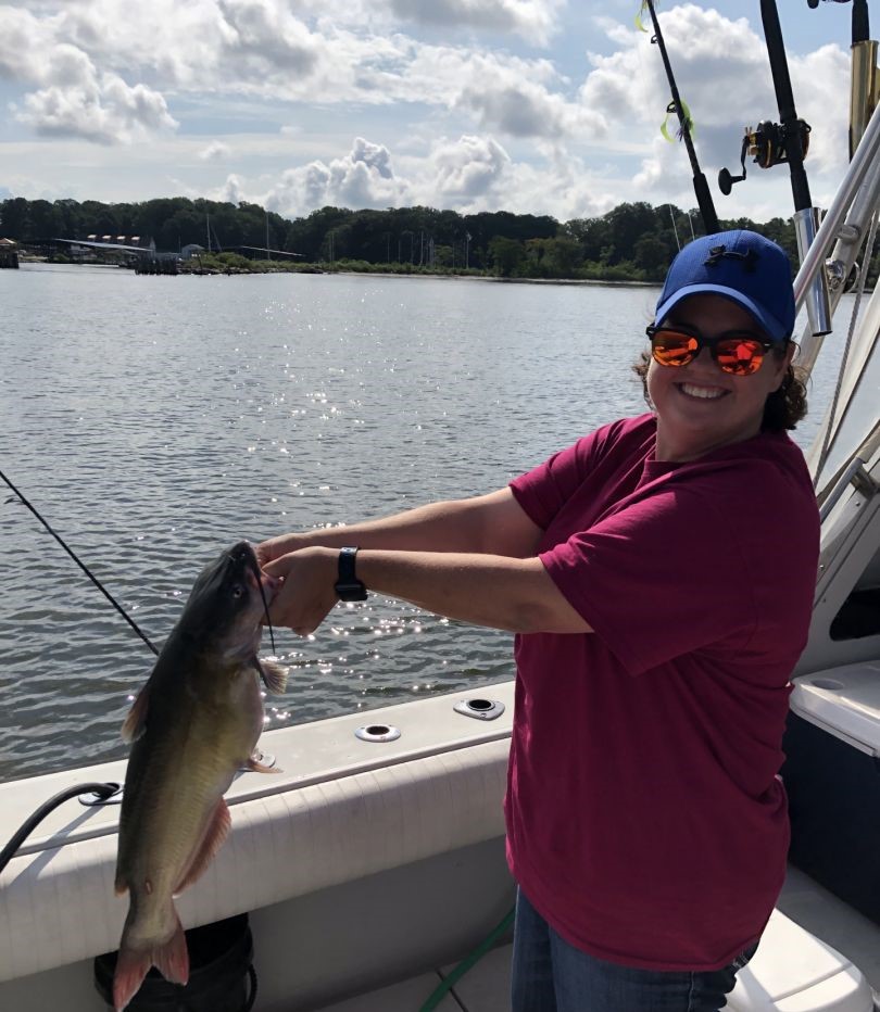 Channel catfish catch on fishing boat in Baltimore MD