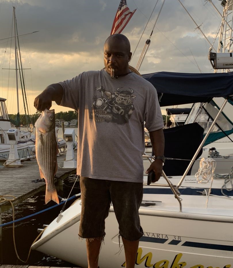 Striped bass catch displayed on boat in Baltimore MD marina