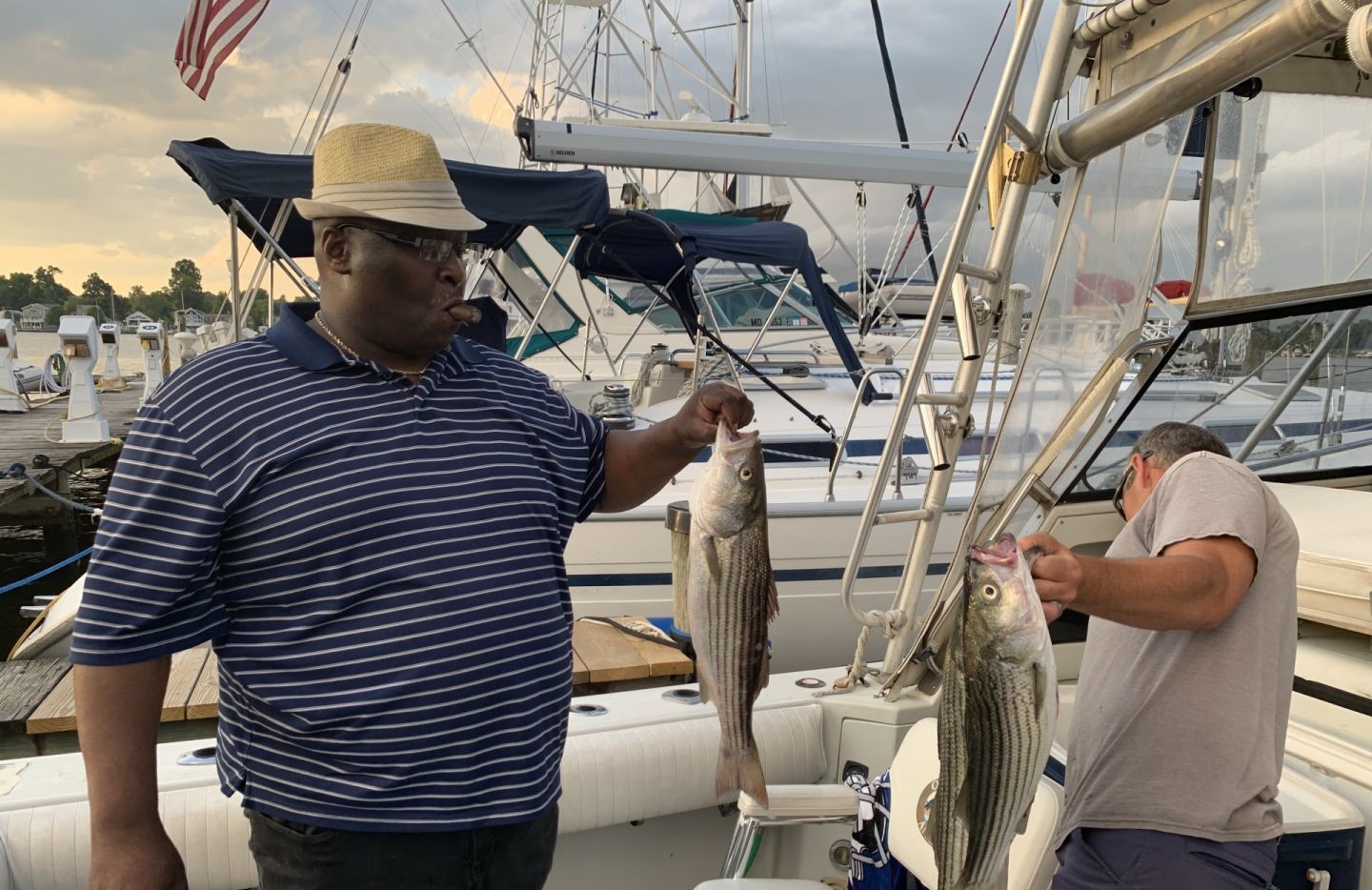 Two striped bass caught on fishing boat in Baltimore MD marina