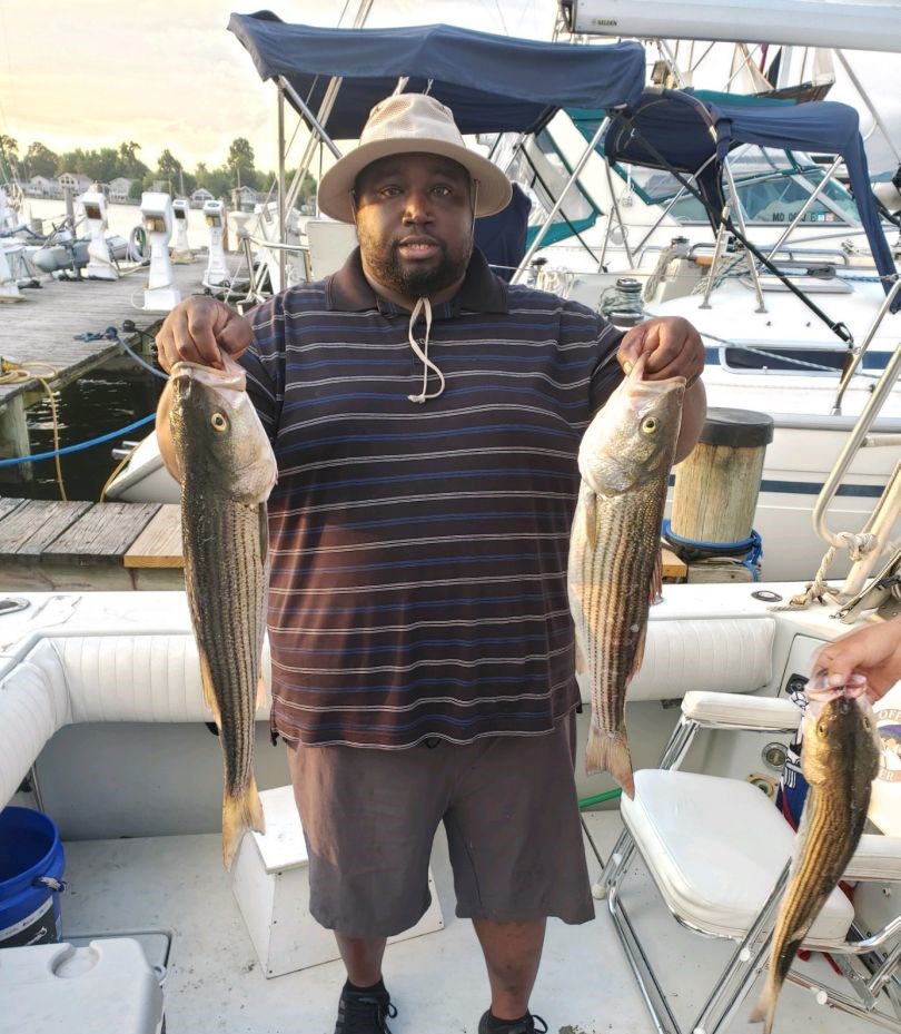 Striped bass and redfish catch displayed on fishing boat in Baltimore MD