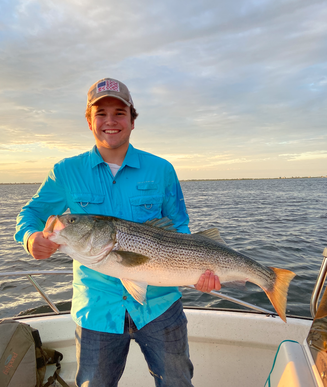 Striped bass caught in Newburyport