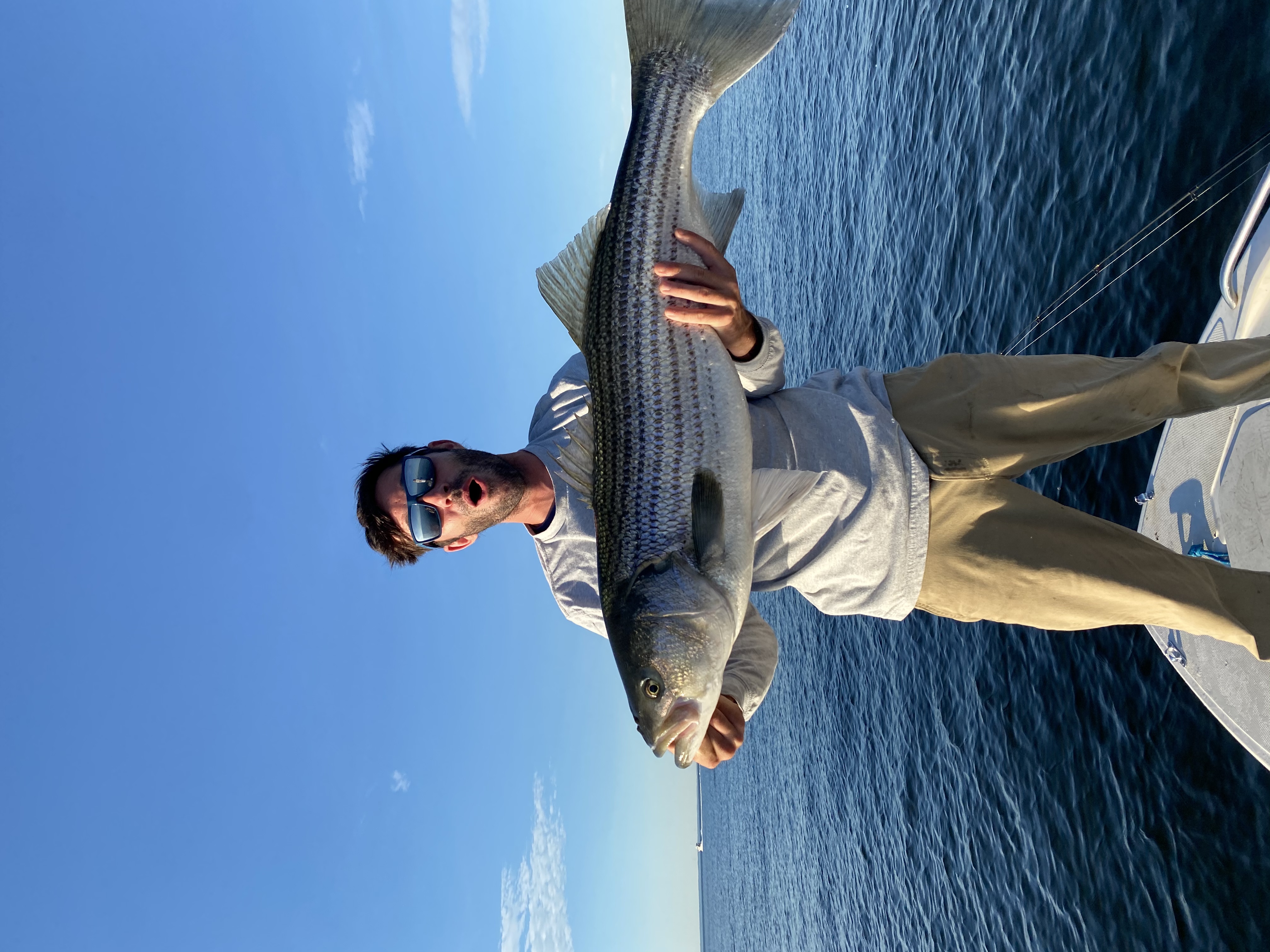 Striped bass caught by angler in Newburyport