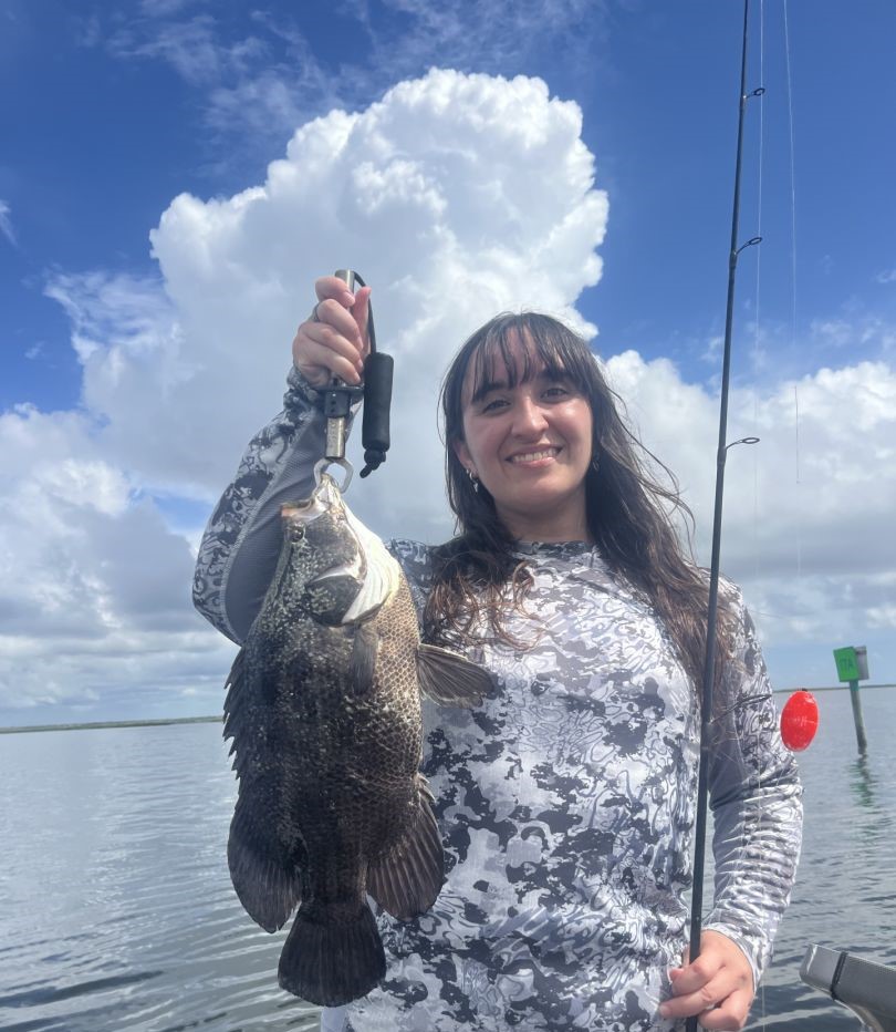 Tripletail fish caught while fishing in Homosassa FL