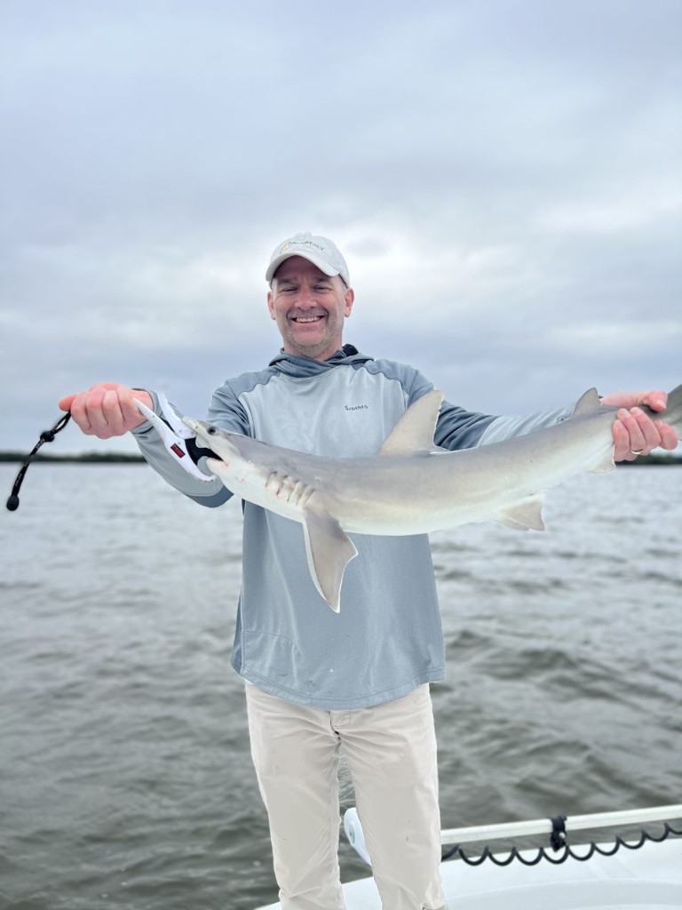 One bonnethead shark, 28 inches long, caught in FL