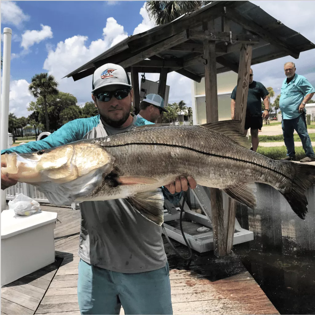 Snook fish caught in FL