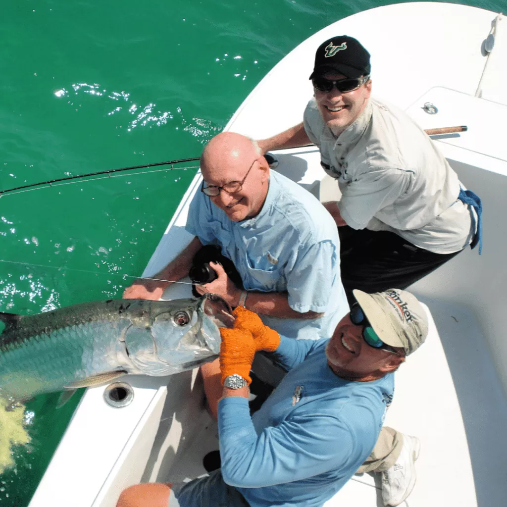 A tarpon fish caught in Tampa, Florida