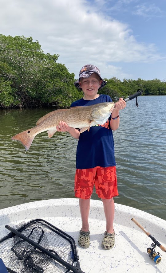 A Redfish measuring 25 inches, caught while fishing in Bokeelia