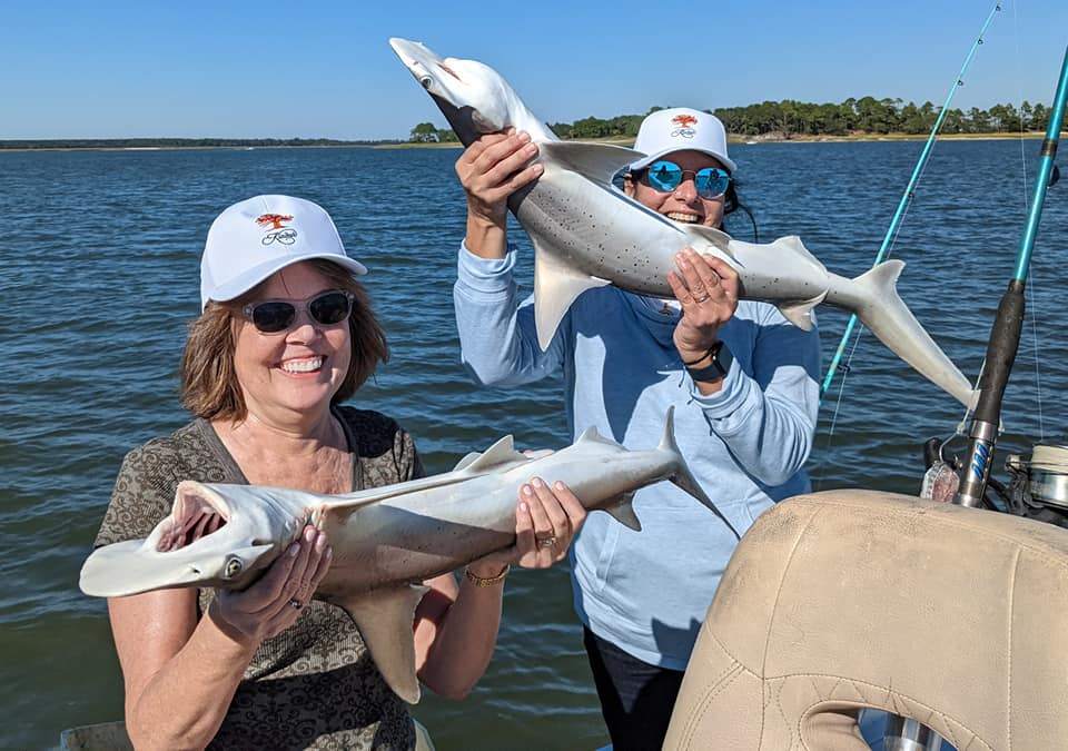 Two whitetip reef sharks and bonnethead sharks swimming in the ocean near South Carolina