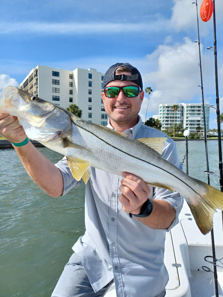 A large snook fish caught in Clearwater