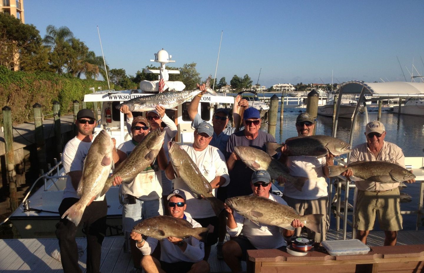 Seven king mackerel, 27 inches, fishing in FL