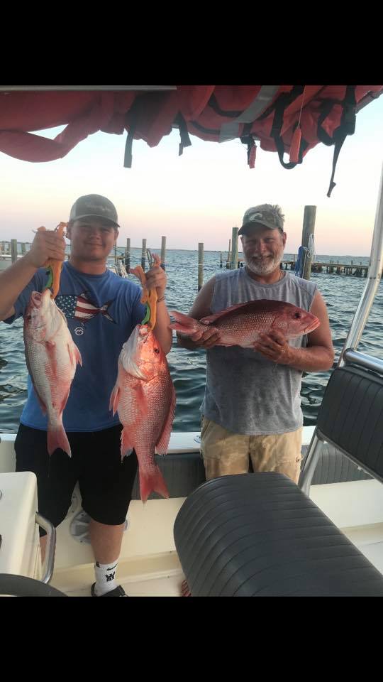 Three 18-inch fish caught while fishing in Pensacola