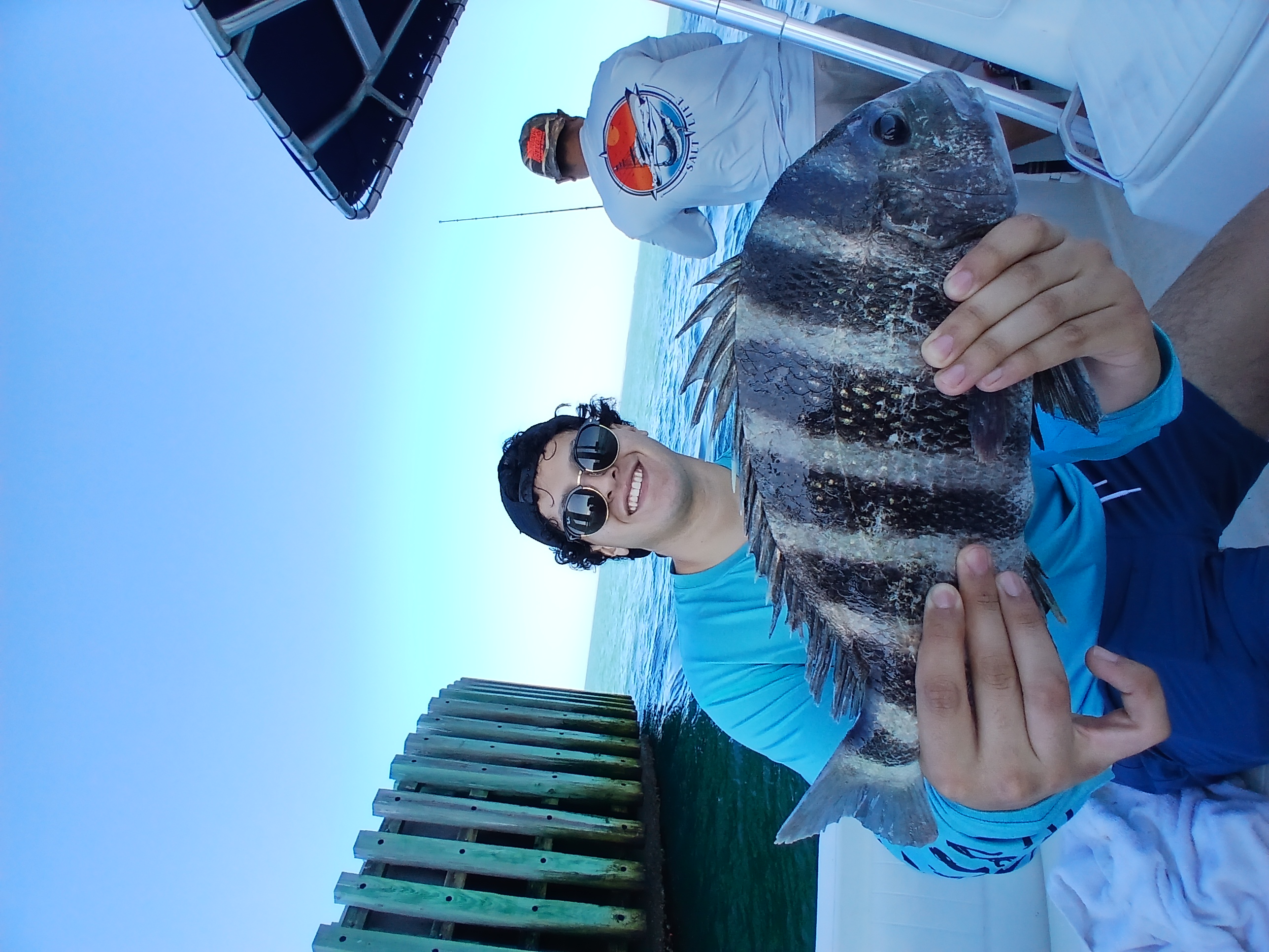 Sheepshead fish caught while fishing in FL