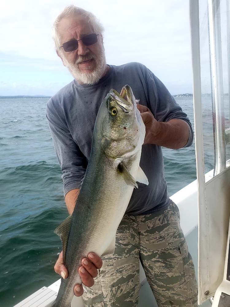 Fish-Species