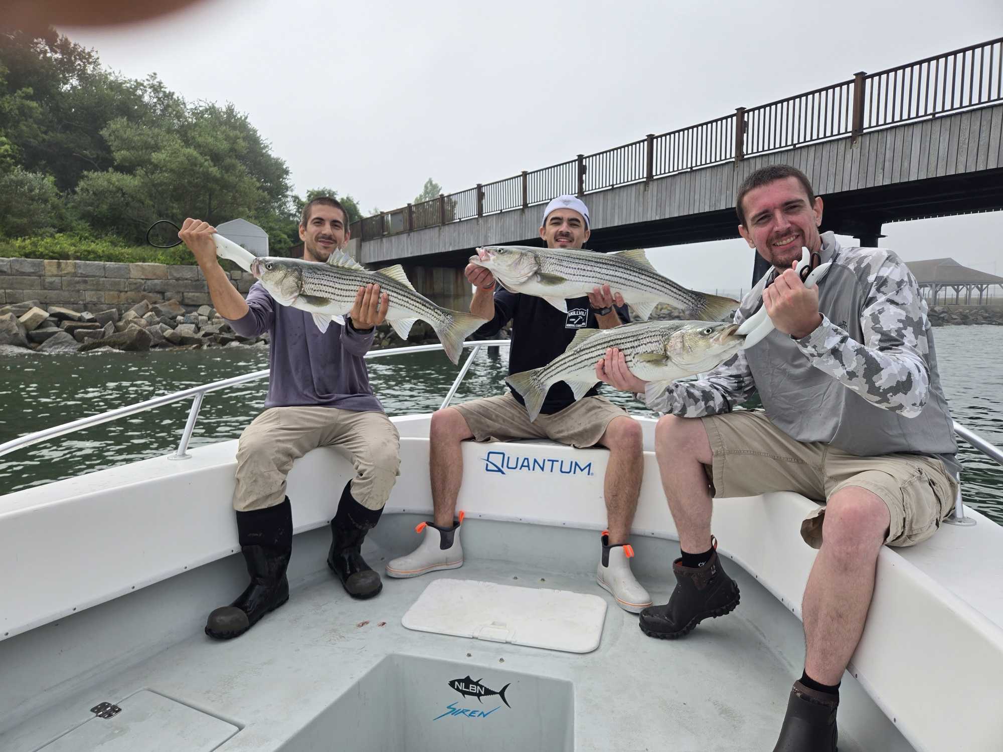 Three anglers displaying freshly caught striped bass on fishing boat in Winthrop MA