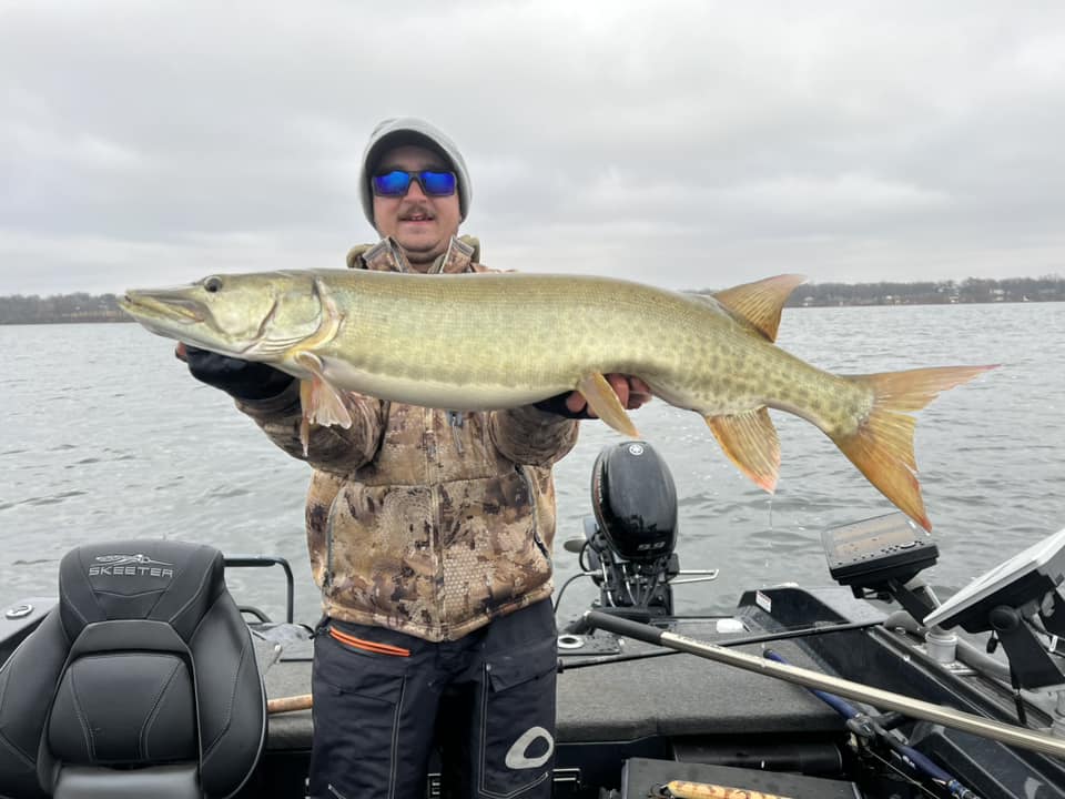 Muskellunge fish caught in Alexandria