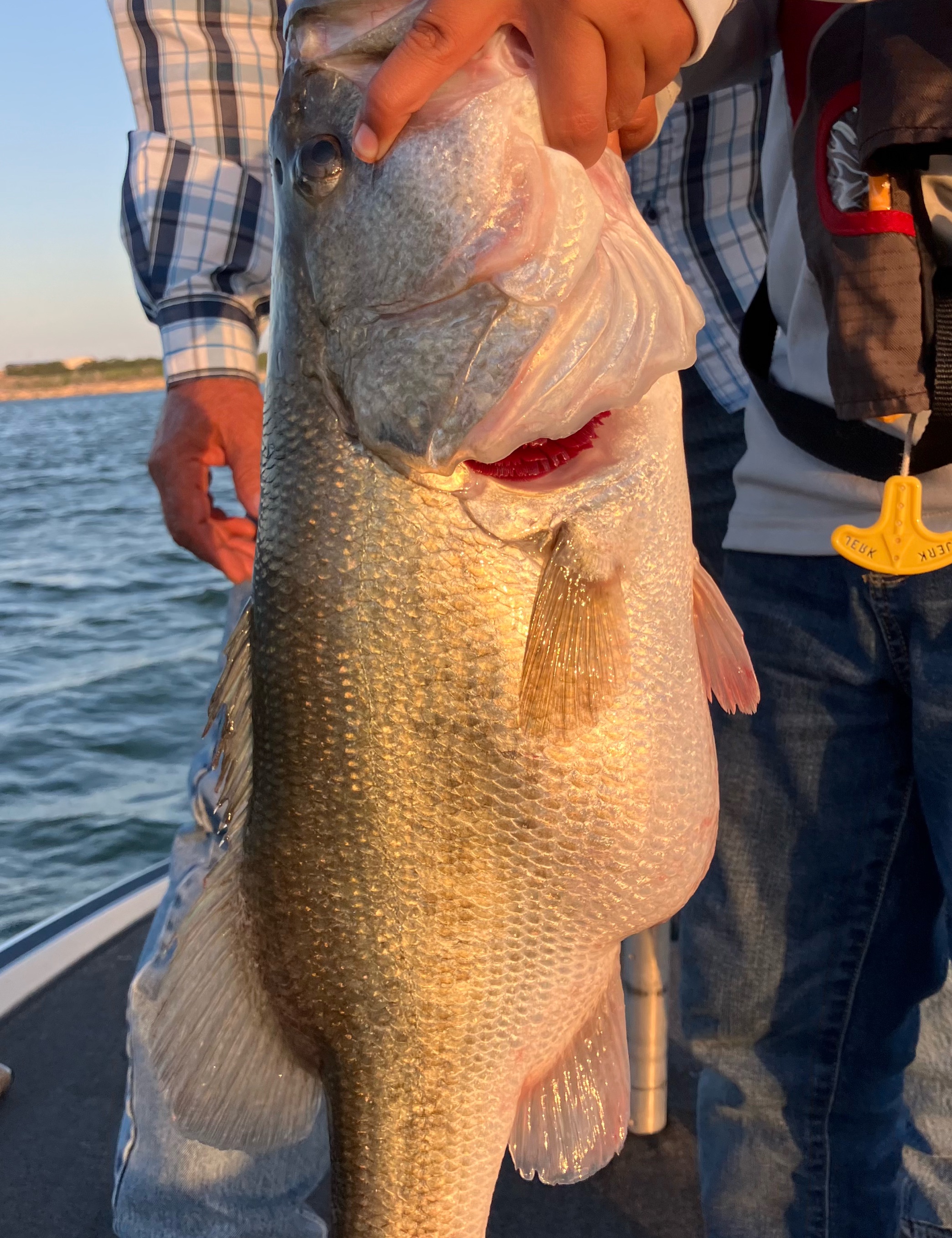Fishing in TX