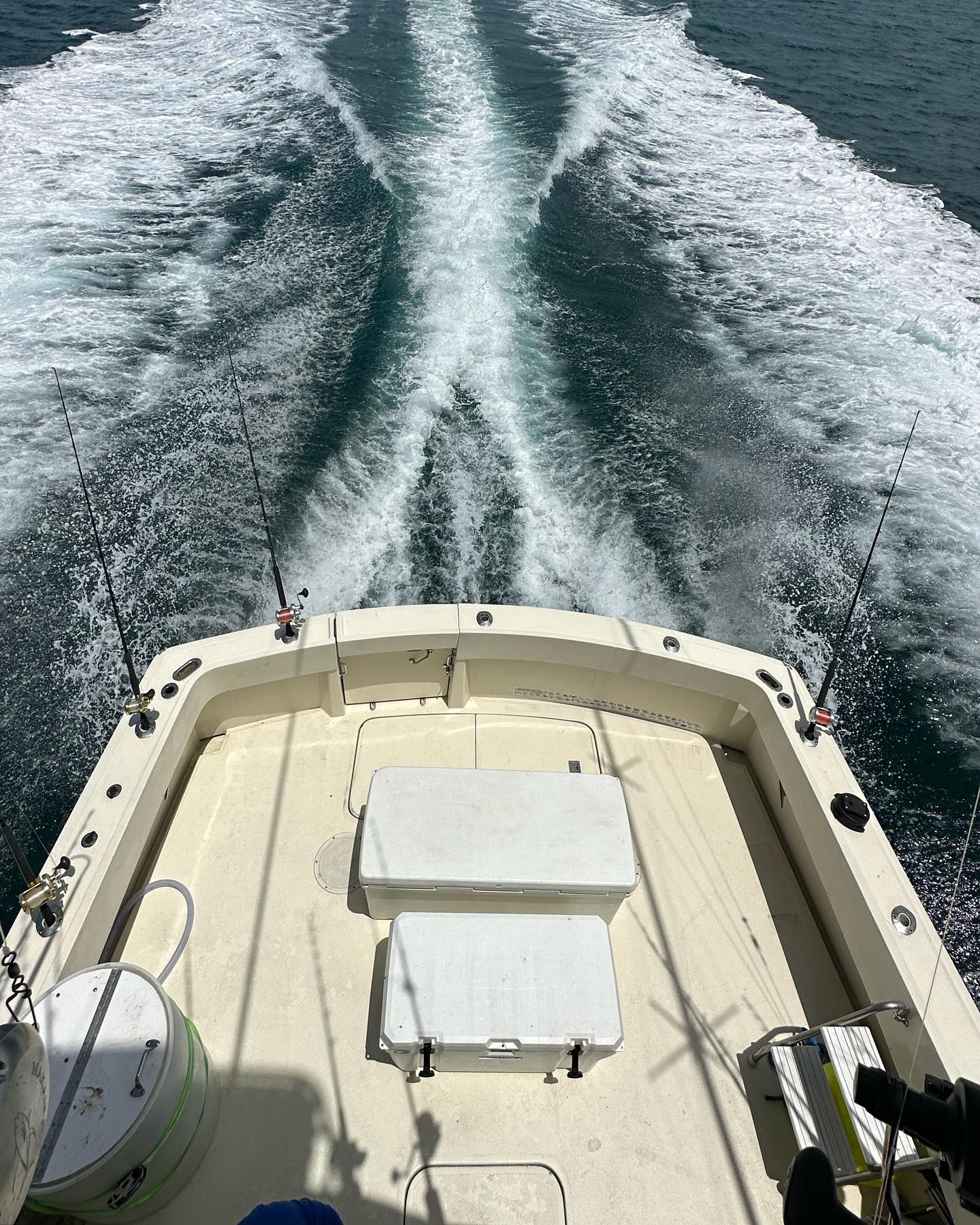 Fishing tour in FL