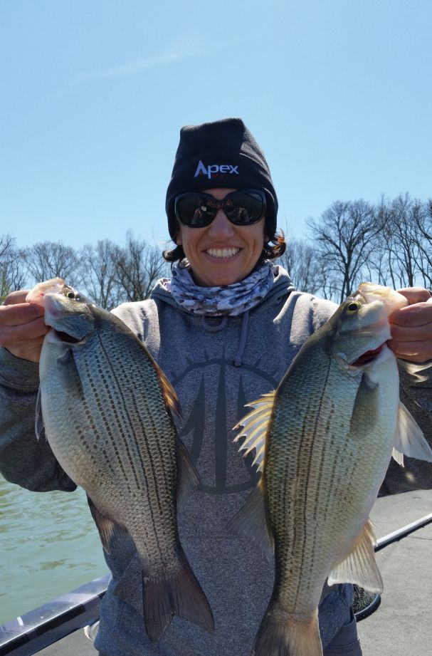 Two wiper (hybrid striped bass) fish caught in MO