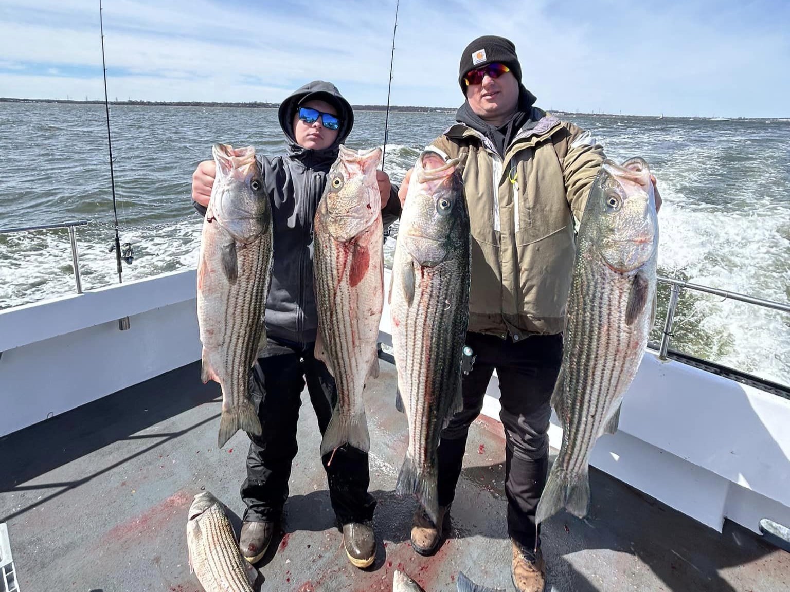 Four large striped bass caught by two people in Highlands