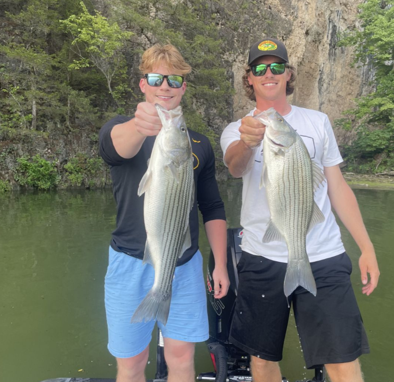 Two striped bass caught in MO