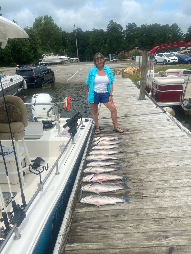 Lake Murray Guided Striper Fishing