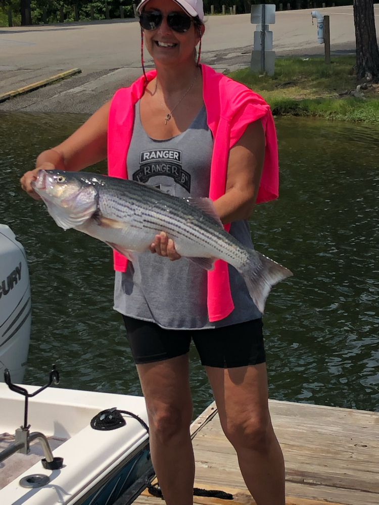 Beauty of a Striped Bass out of Lake Murray