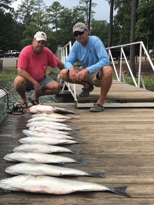 Lake Murray Guided Striper Fishing
