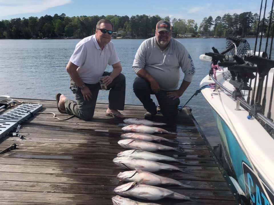 Fish-Species