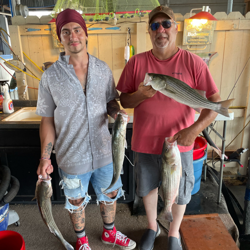 Lots of stripers on Lake Texoma