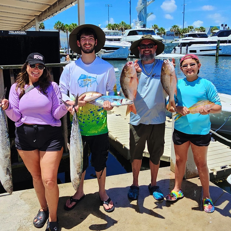 School of 5 Atlantic Bonito fish in FL
