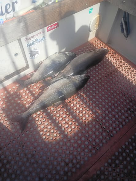 Lake trout displayed on fishing boat deck in Pulaski NY
