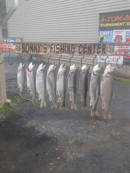 Nine salmon hanging on display rack outside Sonny's Fishing Center in Pulaski NY