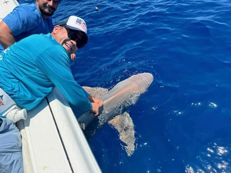 Shark fishing charter boat in Gulf of Mexico with Captain DJ, 6-hour morning trip for 4 guests