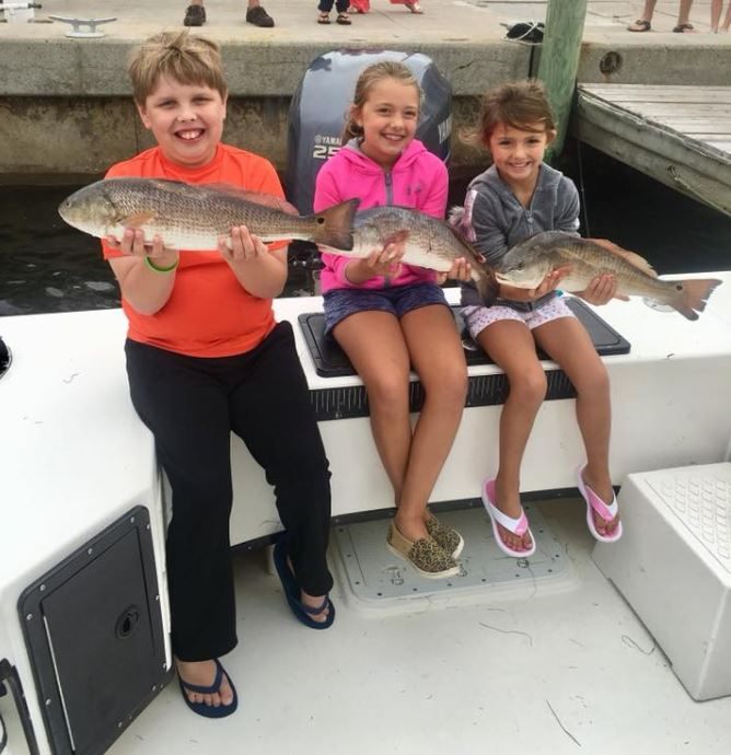 Three redfish, fishing in North Carolina