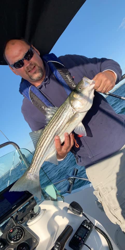 Striped bass caught in Abington
