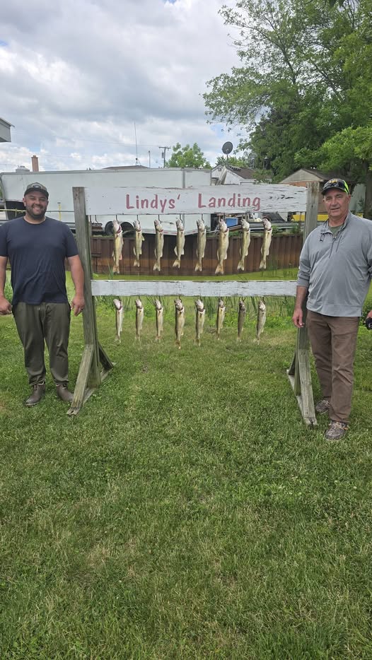 Fishing display board at Lindys Landing in Whitehall MI showing multiple caught fish hanging on wooden rack