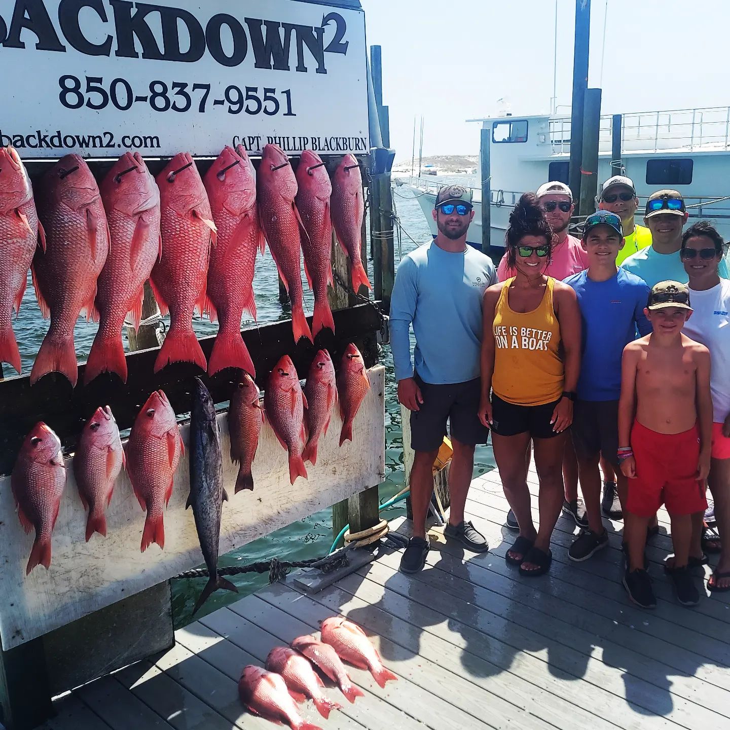 13 grey snapper and king mackerel fish caught in destin
